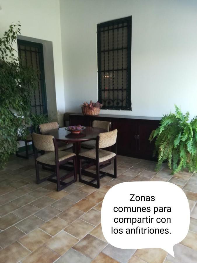 Balsares Sun & Palm Trees 아파트 외부 사진